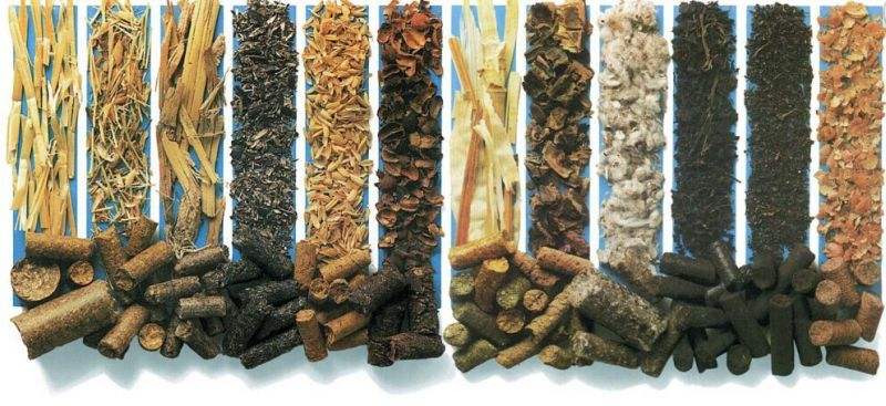 影響生物質燃料顆粒設備出料口因素？